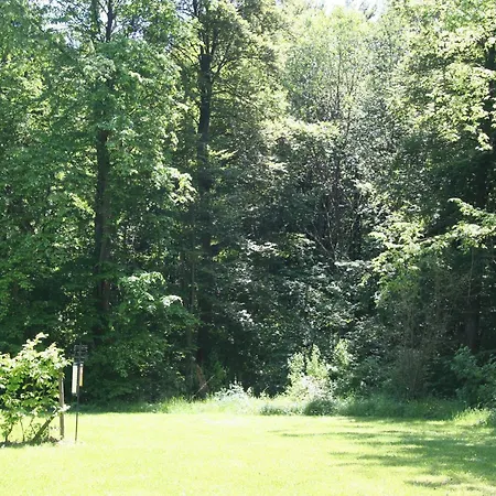 Im Eifelpark Mit Terrasse * Hinterhausen
