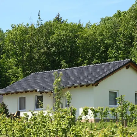 Nyaraló Im Eifelpark Mit Terrasse Hinterhausen