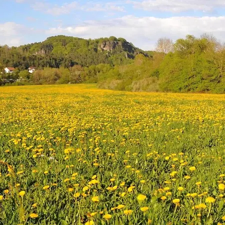 Nyaraló Im Eifelpark Mit Terrasse Hinterhausen