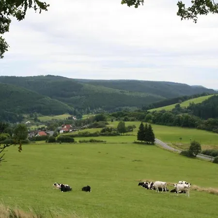 Im Eifelpark Mit Terrasse Nyaraló